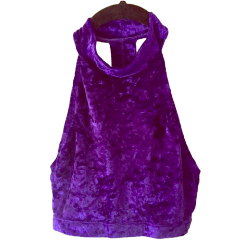 💕Natalie Dancewear purple velvet crop halter- Small